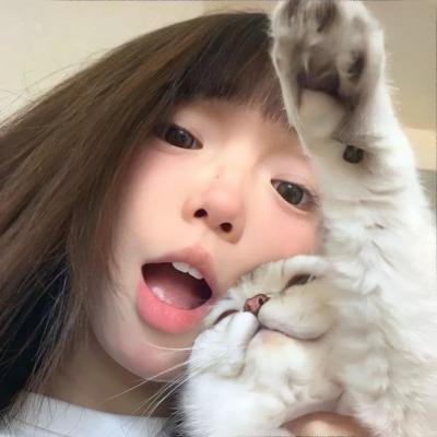 哈莉·奎茵第一季海报