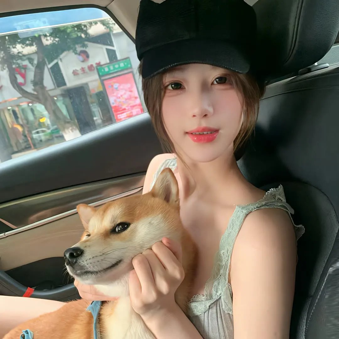 校影迷雾海报