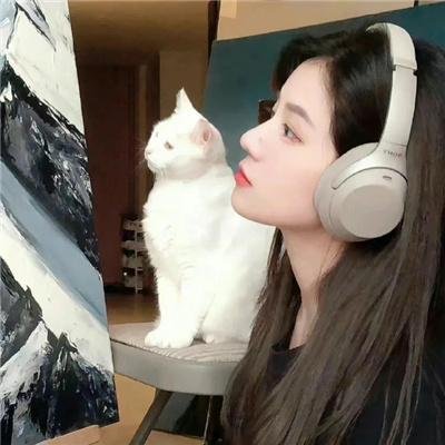 猫神八百万海报