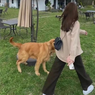 我相信独角兽海报